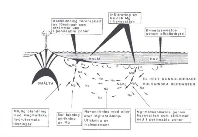 Fig. 39. Schematisk bild som visar den hydrotermala konvektionsprocessen. Av Björk (1986) modifierad från Lagerblad & Gorbatschev (1985).