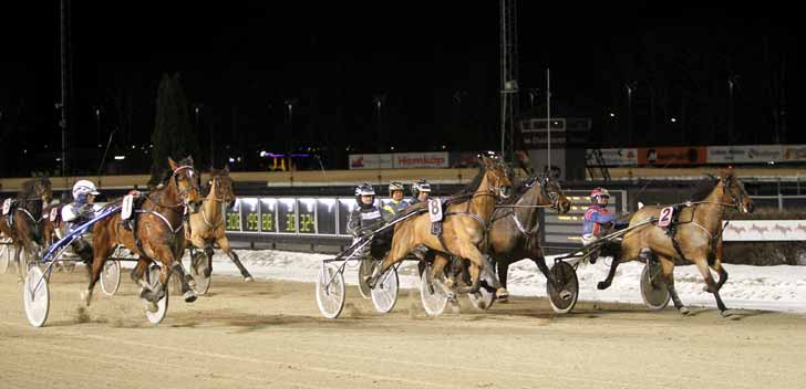 110128 Sandrngham infriade förväntningarna 110131 Running Ram höll sig i skinnet och vann Såväl tränare som spelare trodde på Sandrngham Hanover idag.