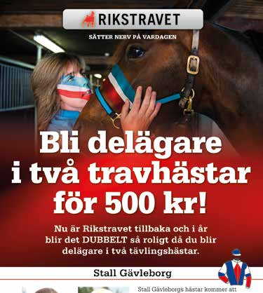 GÄVLETRAVET LINDA S HEDSTRÖM HAR KÖPT HÄST TILL STALL GÄVLEBORG I RIKSTRAVET Hagmyrentränarens tävlingsbidrag har tre segrar på de fem senaste starterna.