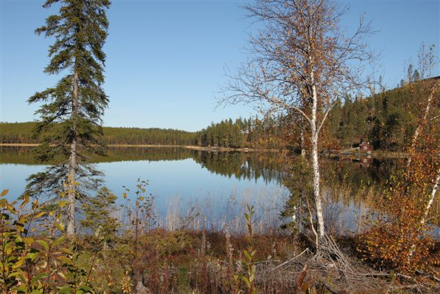 Västra Vallsjön & Östra Vallsjön Västra sjön har vegetationsfria stränder Östra sjöns stränder finns ymnigt med vass Rubricerade sjöar ligger inom Dorotea Flugfiskeklubbs vatten.