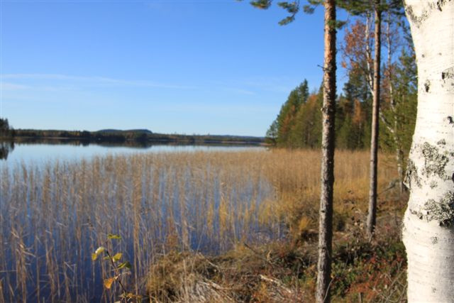 Tjusjön (inom Sallsjöåsystemet FVO) Tjusjön är sjön som ligger ovan Sallsjön inom samma system. Det är en av de sjöar i kommunen med flest fritidshus runt om.