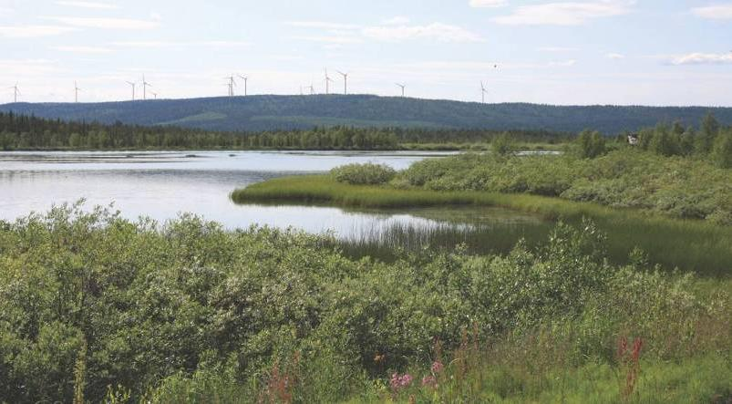 Muonio kommun Detaljplan för Mielmukkavaara Vindparksområde Sammanfattning av