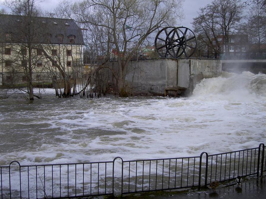 Projektplan för Den levande Nyköpingsån Foto: