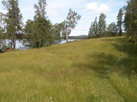 11. Lungälvens myrar (SE0610185) Inventeringsdatum: 2006-06-22 Längs den meandrande Lungälven finns vidsträckta myrmarker av olika typer.