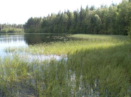 den långsträckta, djupa sjön Alstern. Vidare förekommer ett flertal myrar och källor i området.