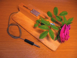 Höstens telegrafinyckel OH6DC Min strategi var a bygga en riktigt vacker CW-nyckel för a kunna köra riktigt vacker CW i SKD. Jag hi ade några sköna rosor i trädgården och en av dom blev nyckelarmen.