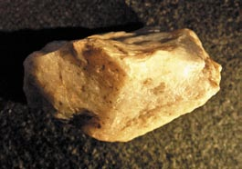 UV ÖST RAPPORT 2007:10 ARKEOLOGISK FÖRUNDERSÖKNING Äldre stenålder i Jägarvallen Arkeologisk förundersökning i samband med ny gång- och cykelväg längs med