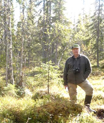 Taxering av planterade plantor och av naturplantor med längder 20-300 cm.