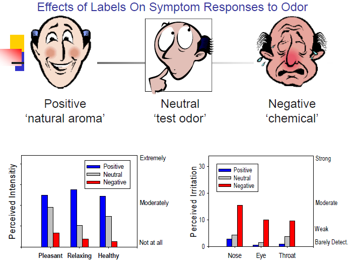Ändra namnet på lukten ändrar perceptet Positiv