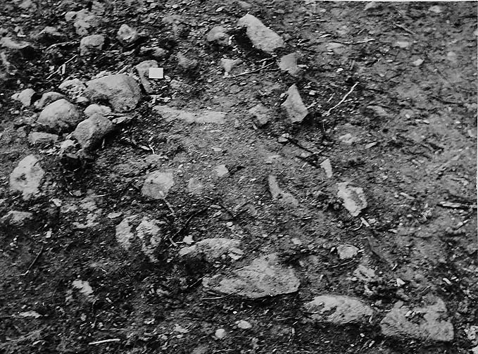 Urna i stensättning 13. Utanför ligger några nitar och spikar. (Ben efter människa, hund, får/get) Foto: Alf Nordström Alf Nordström påträffade bl.a. torshammarringar, en liten oval spännbuckla,