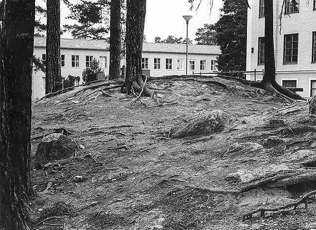Botten på urna med en torshammaring utanför.