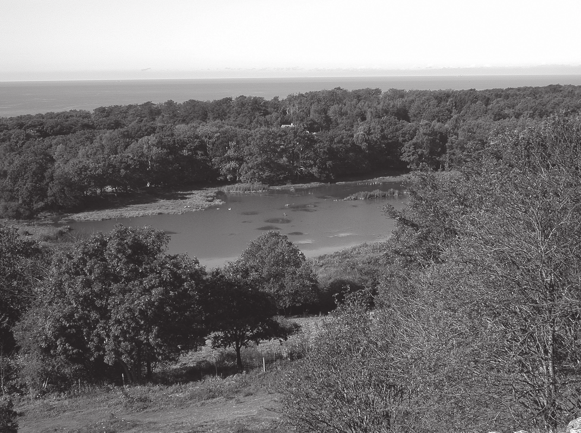 1/07 och Håkulls mosse samt Kullatorpsmossen. 2004 bedömdes 7 par häcka på Kullaberg, varav 2 4 par i Björkeröds mosse.