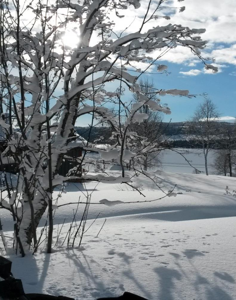 Vinter/vår-matsedel Äldreomsorgen Rönnens