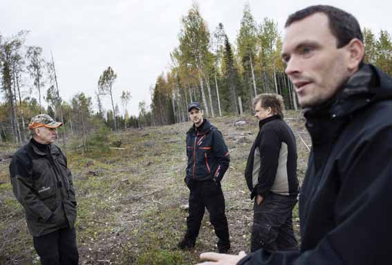 Foto: Anders Alm Ett hygge kan väcka känslor och ses som en dramatisk förändring i landskapet. Förr var ett avverkat hygge ofta ett stort, rektangulärt och avskalat område.