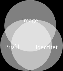 Figur 6: Tre steg för att identifiera EVP. Ju närmare cirklarna är varandra desto bättre. Identitet och profil är relativt nära varandra medan image, den externa synen, skulle kunna förbättras.