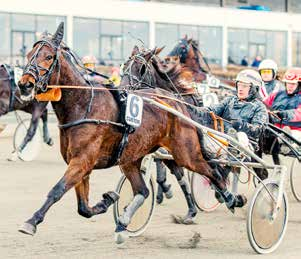 Danske Spils officielle spilliste Tirsdag 23. februar kl. 18:0 Bane 3 Forus - V- För 3-1-åriga kallblod högst 2.000 NOK.