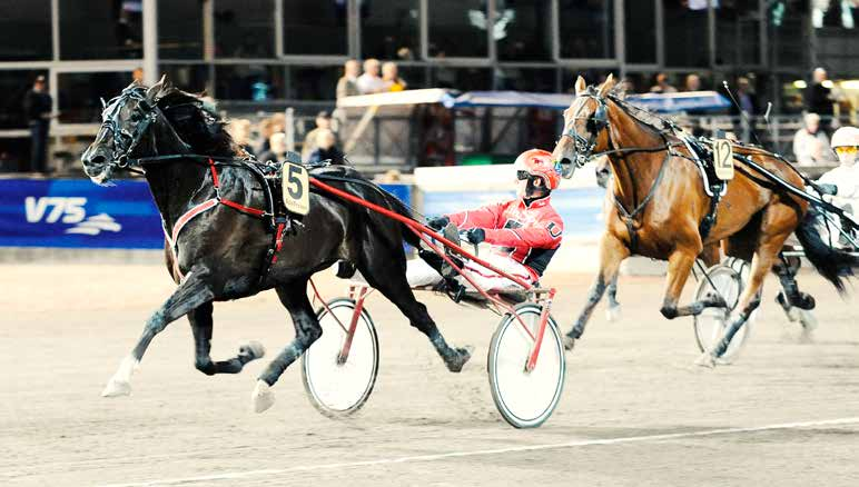 8 Racing News nr 1 23. februar 201 Cash Lane Dagens holdepunkt! Onsdagens V8-omgang er delt mellem Solvalla og Bergsåker.