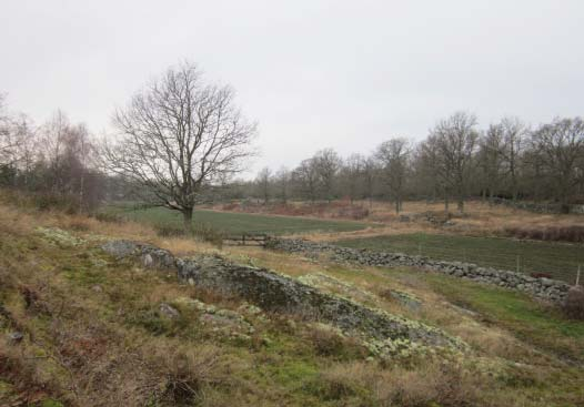 YTTERÖN/ÖSTRA HÄSTHOLMEN Ytterön/Östra Hästholmen ligger sydväst om Torhamn.