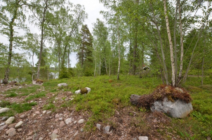 Tomten Plan och lättbyggd naturtomt med