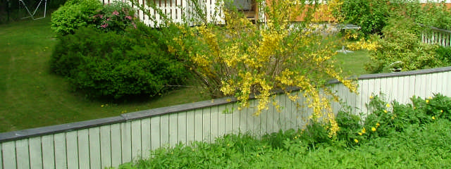 vegetation bestående av trädgårdar med löv- och barrträd på anlagd gräsmatta. Varje fastighet är bebyggd med ett parhus i en våning om ca 95 kvm / lägenhet i byggnadsarea.