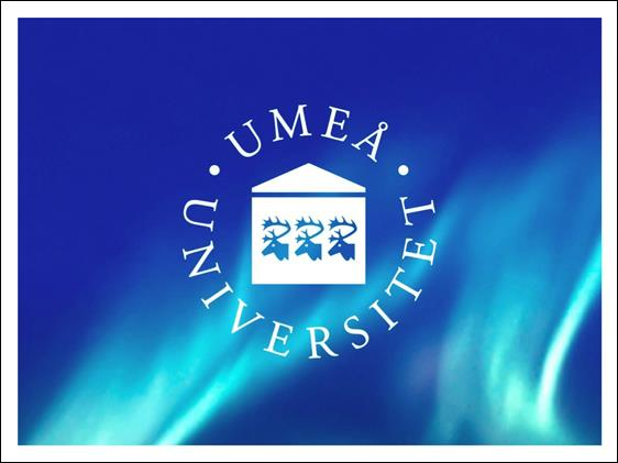 Revisorsexaminationen -En studie om hur verksamma inom revisionsbranschen förhåller sig till revisorsexaminationen och den kunskap den