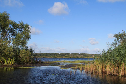 17 av dessa kärr har en mycket speciell landmolluskfauna med flera hotade och ovanliga arter.