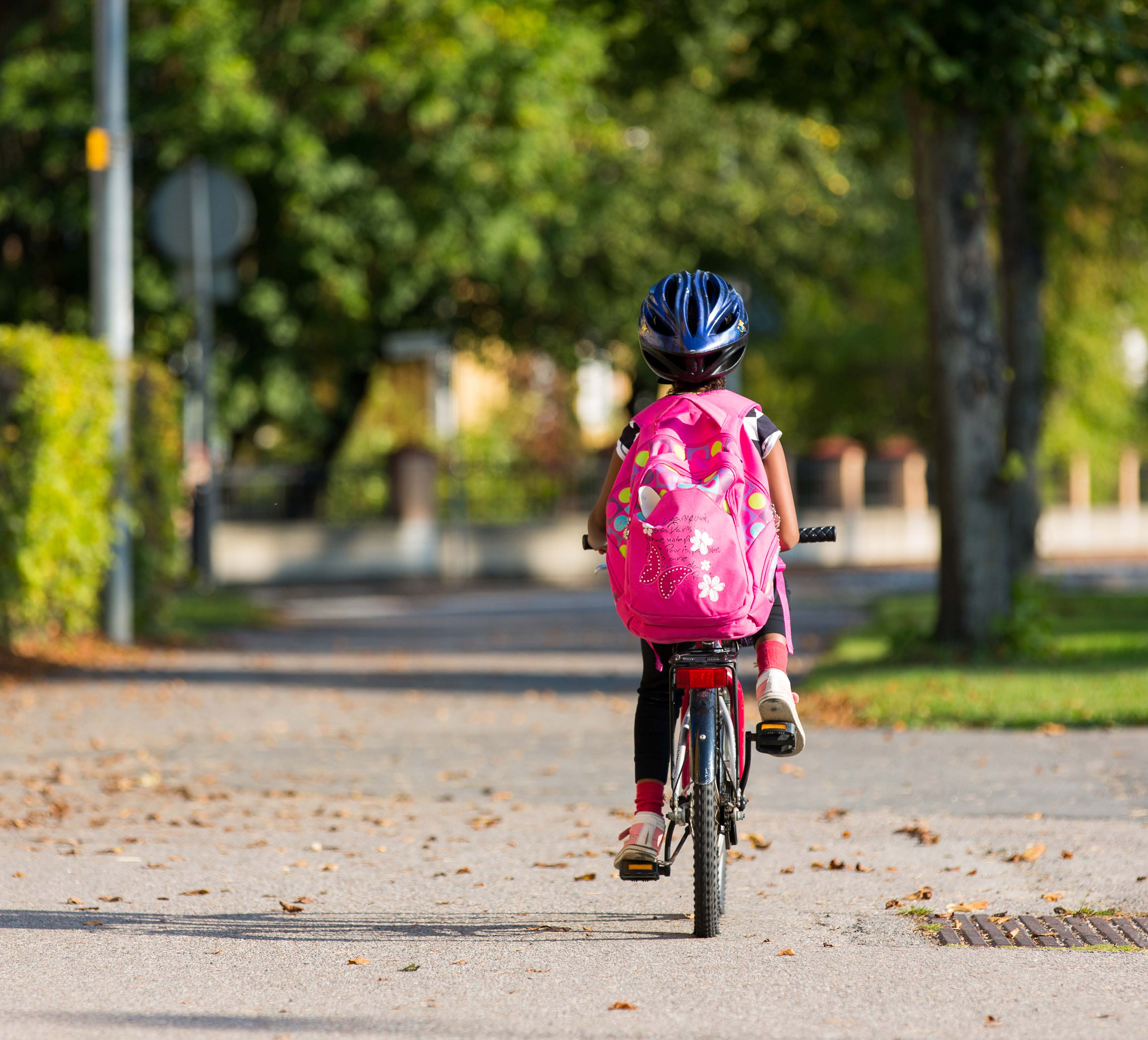 f 80 * Arbeta med attitydförändringar Genom att i skolan arbeta med informationskampanjer gentemot barn och föräldrar kan attityder ändras och fler kan bli positivt inställda till att välja andra