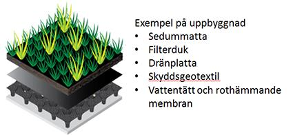 Bilaga Lite om Sedumtak Visgatan har ett så kallat Sedumtak som taktäckning monterat.