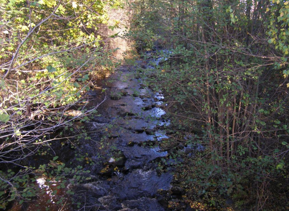 1. Område S Stenstaliden 7 Rik fågelfauna. 2. Området S Ådalsgatan Härmsångare (1 revir), stenknäck (1 observation). 2007: entita (1 observation). Tidigare år har ringduva hävdat revir.