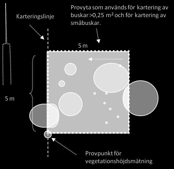 Figur 1. (Ur gräsmarksmanualen). Täckningsgrad av träd och buskskikt görs genom ellipsmätning av buskagen i 5 st 25 m 2 stora provytor samt genom räkning av småbuskar och unga lövträd i provytorna.