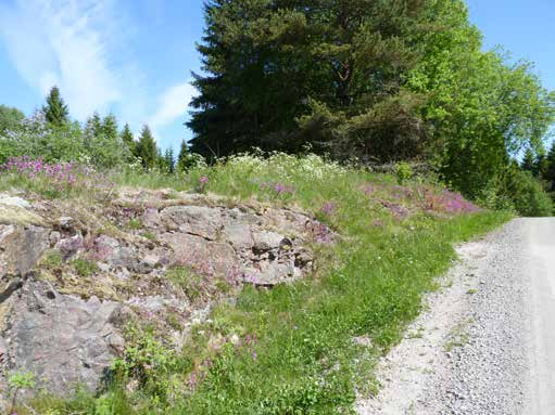 Både färgskålsinventering och pollinatörsslinga genomfördes längs en grusväg i Kråkhult. Hajum/Troneröd, Munkedal kn Färgskålarna placerades i en gårdsmiljö i Hajum.