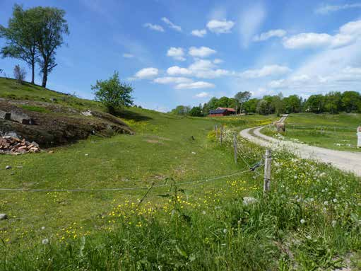 I Hajum placerades färgskålarna i en gårdsmiljö med omgivande betesmarker. Krökersrud/Håverud, Mellerud kn Färgskålarna placerades vid en liten skogsomgiven slåtteräng i Krökersrud.