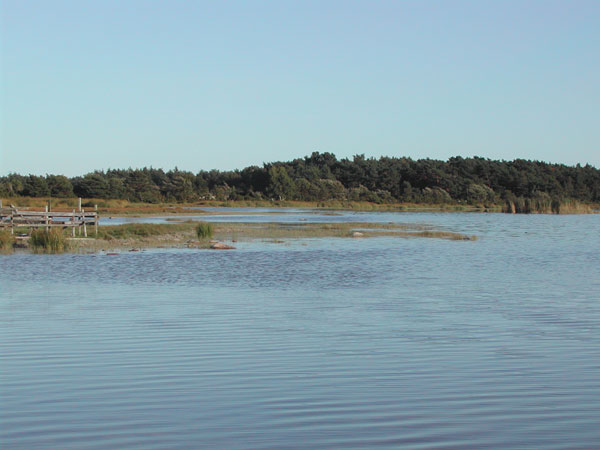 Mjölhatte träsk provfiskad 31/8 1/9 25 Den ca 7 ha stora sjön (Bild 6) ligger ca 2 km västsydväst Burgsvik. Den nås lättast från vägen Burgsvik-Valar men även från mindre vägar i sydväst och sydost.