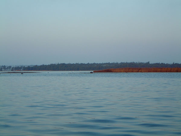 Bogeviken provfiskad 11-12/1 25 Bild 7. Bogeviken med längsgående moränryggar som löper rakt igenom viken. Den från havet avsnörda Bogeviken (Bild 7) har en yta av drygt 2 ha.