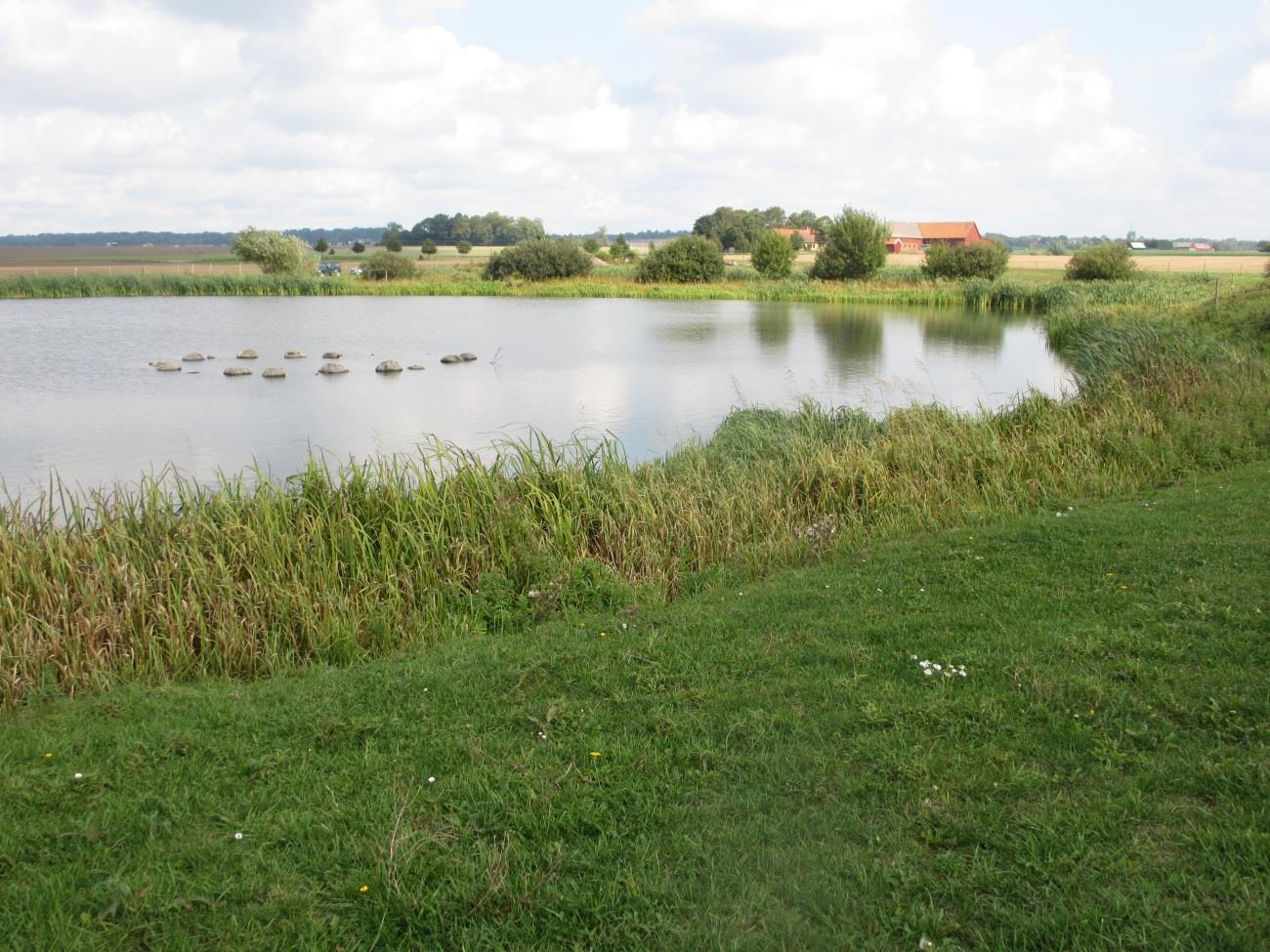 Höjeåprojektet Biologisk uppföljning av 15 anlagda våtmarker Bottenfauna Foto: Damm H14, Dalby 21:27.