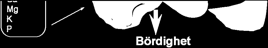 mellan kemiska, fysikaliska och biologiska faktorer i marken. Samspelet påverkas dessutom av ett antal yttre faktorer (figur 2). Figur 2. Marksystemets funktion och påverkan från yttre faktorer.