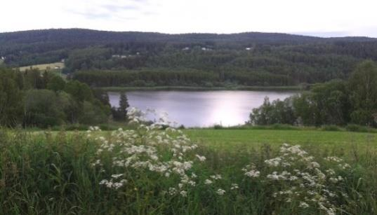 Boende Boende & Mat Boendet kommer att vara hemma hos Bjørn och Maria där du kan boka in dig i flerbäddsrum á 150 nok/natt. Anmälan av boende görs till Bjørn via e-mail: slagbjorn.loken@gmail.