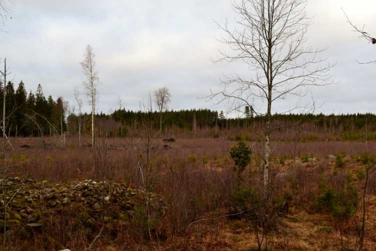 Tillträde Tillträde enligt överenskommelse. Visning Visning sker 25/1, tid erhålles vid anmälan. Vid visningen kommer i huvudsak byggnadsbeståndet att visas.