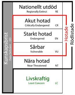 3. Förutsättningar 3.1. Naturvårdsarter Naturvårdsart är ett samlingsbegrepp för skyddade arter, fridlysta arter, rödlistade arter, typiska arter, ansvarsarter och signalarter.