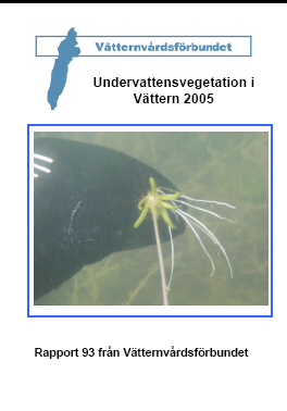 Vätternvårdsförbundets verksamhetsberättelse 2007 Sidan 8 Rapport 93: Undervattensvegetation i Vättern Under 2005 genomfördes en större fältinventring av undervattensväxter in Vättern.