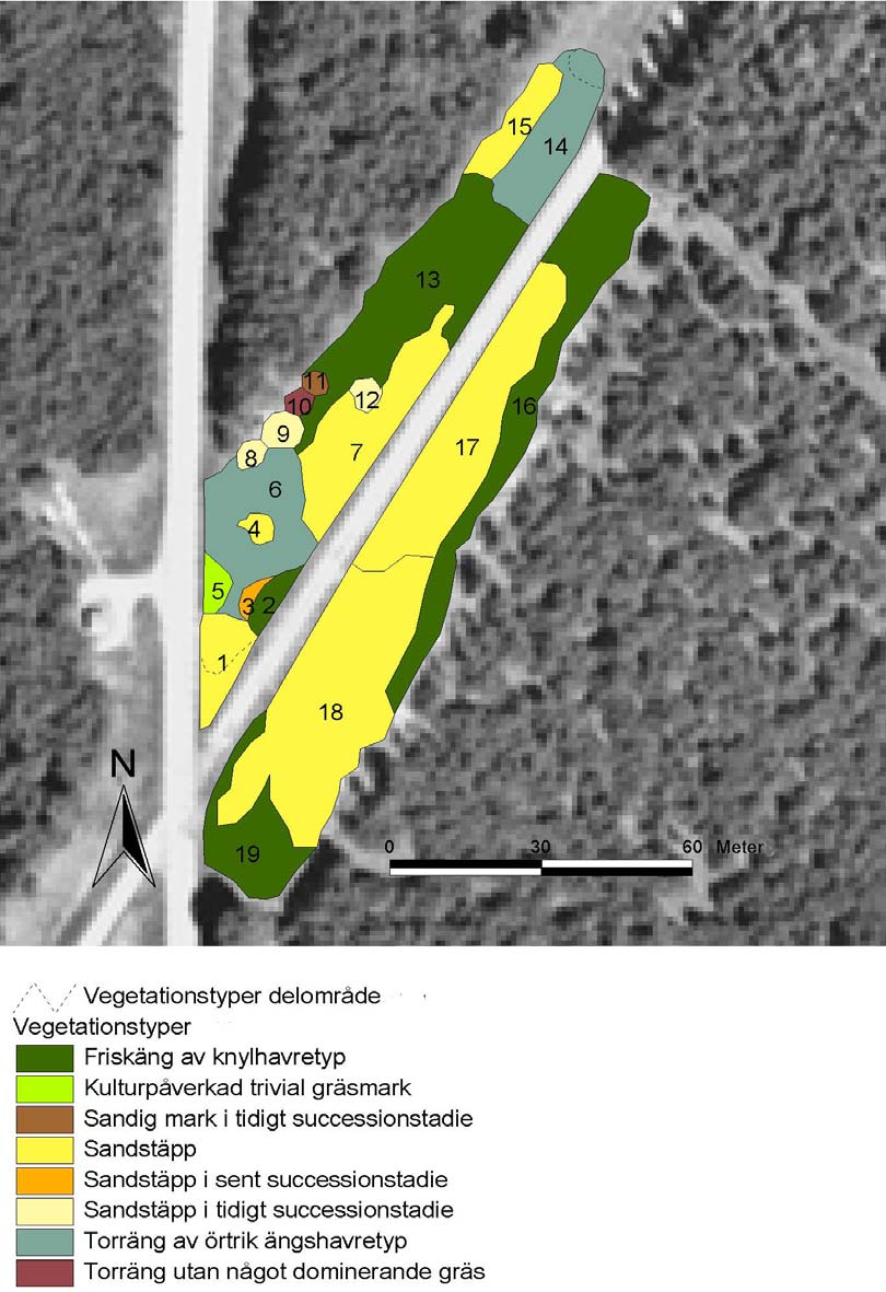 7. Vegetationstyper på Everöds sandstäpp Efter att ha gått över området några gånger och i stora drag registrerat vilka arter som förekommer, var de finns och hur de växer