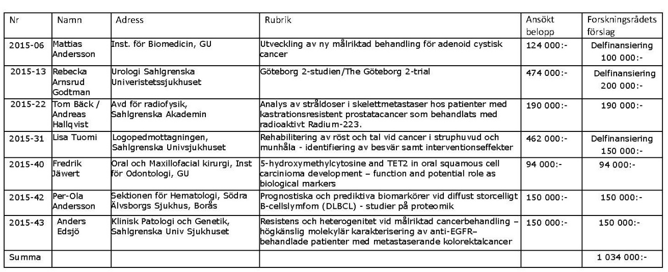 Bilaga 1 Beviljade anslag 2015:1 enligt styrelsebeslut
