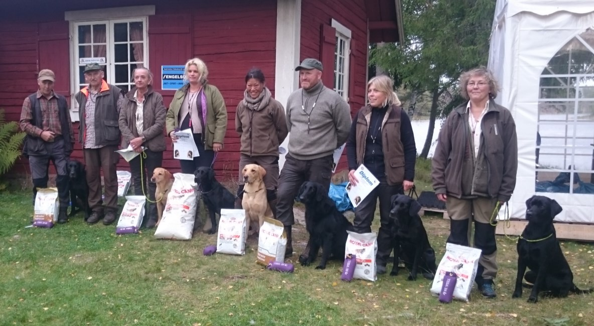 Ordinarie prov 12/9 genomfördes LRK s ordinarie prov i Lotorp med 16 startande hundar i Nkl och dagen därpå dvs 13/9 Ökl med 14 hundar. Båda proven dömdes av Gunnar Petersson.