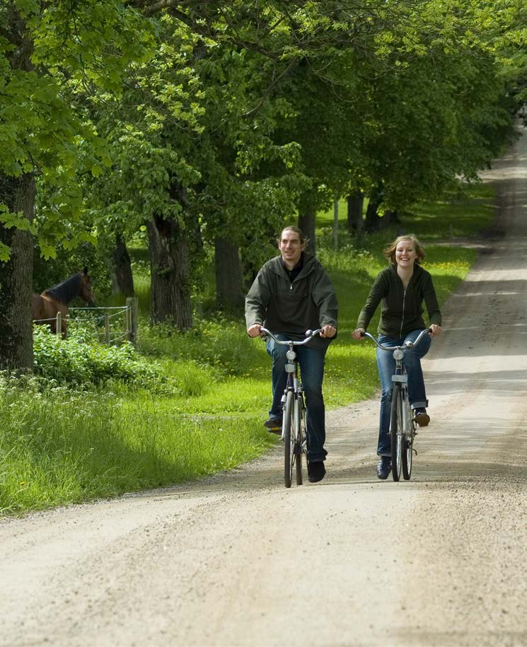 garservice. Med jämställdhetsintegrering menas som tidigare nämnts att jämställdhetsperspektivet tas med i alla led av beslutsfattande, planerande och genomförande av aktiviteter.
