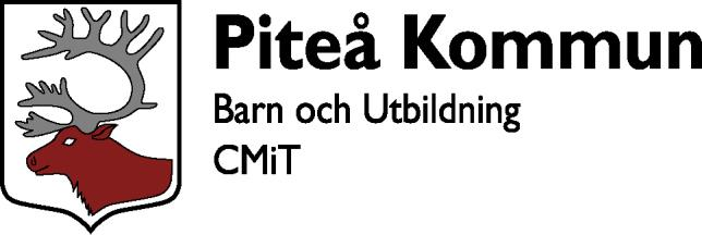 PM reviderad projektbeskrivning 2011-08-17 LekMiT Låt därför detta vara en gyllene regel: att förevisa allt för alla sinnen, så långt detta är möjligt, det vill säga,