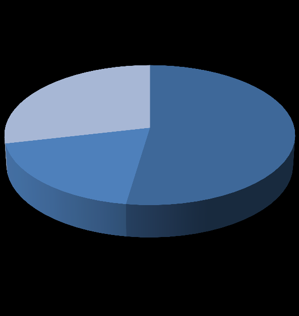 Diagram 3. Fördelningen av påpekanden i enskilda ärenden utifrån kategorier 29% 52% Medicinska skäl Kränkande särbehandling Övriga skäl 19