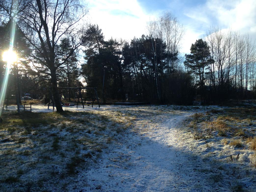 Frågeställningar kring inriktning Vilka är våra parkområden?