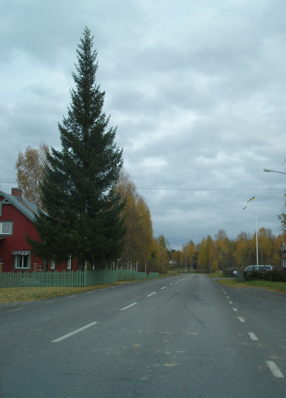 Åskådarperspektiv Vägen och dess anläggningar uppfattas också av personer som vistas inom vägens påverkansområde. Hur dessa personer uppfattar vägen brukar beskrivas som ett åskådarperspektiv.