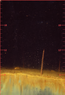 Bottenmiljön i Kattegatt/Öresund & tre fjordar i Skagerrak analyserad genom fotografering av sedimentprofiler (SPI) 2011 Marine Monitoring AB Alla tre områdena är kraftigt belastade av näringsämnen,