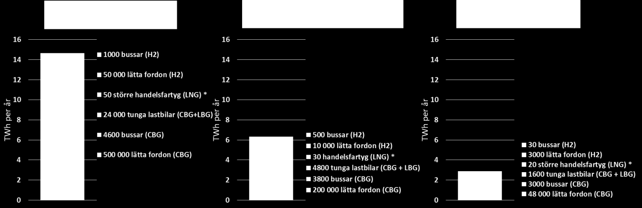 Efterfrågan på gas inom både transportsektorn och industrin är avgörande för denna utbyggnad.